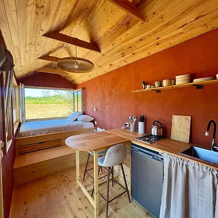 Tiny House En Lisiere De Bois 乡村民宿 Bastennes