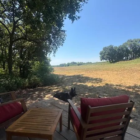 乡村民宿 Tiny House En Lisiere De Bois Bastennes