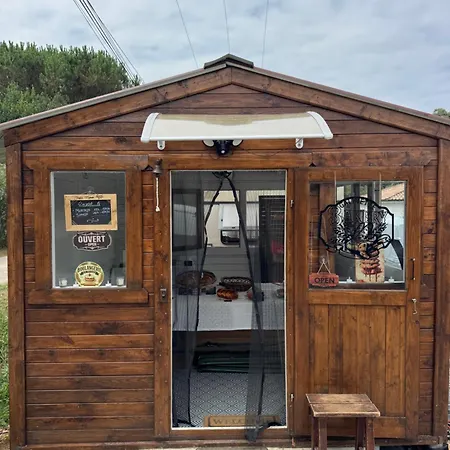 Tiny House En Lisiere De Bois